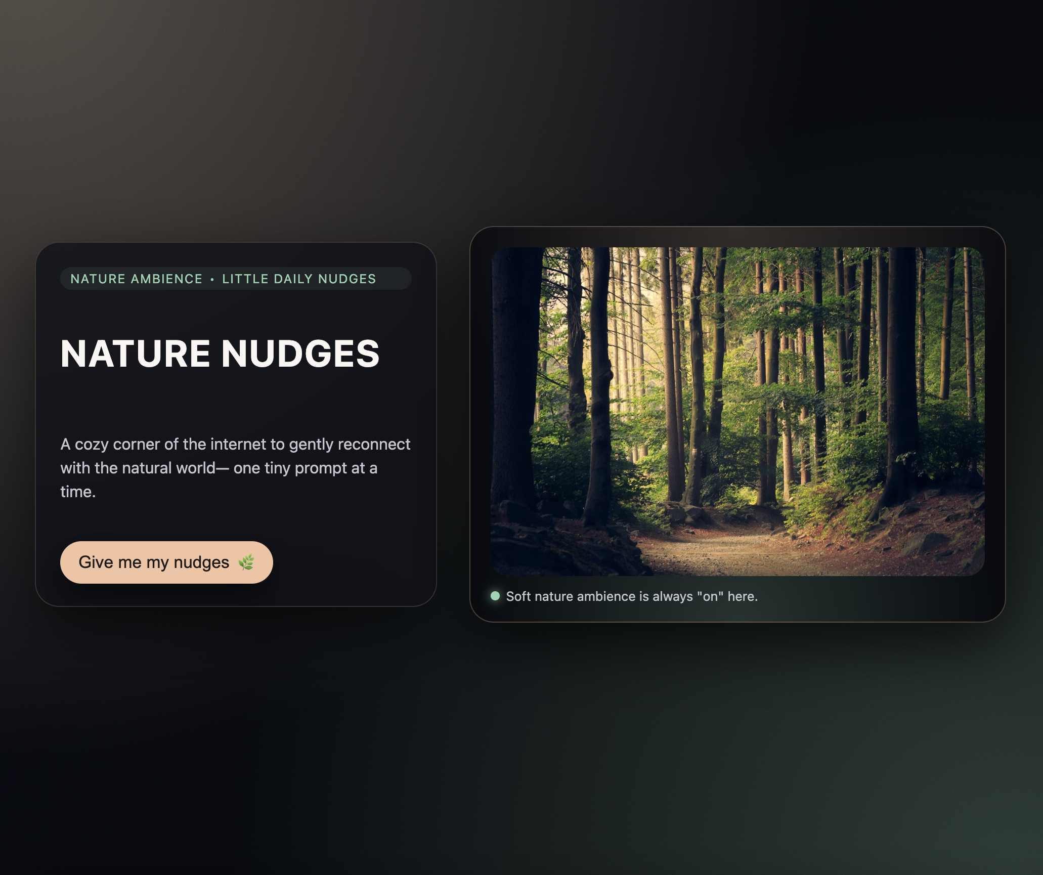 NatureNudges preview